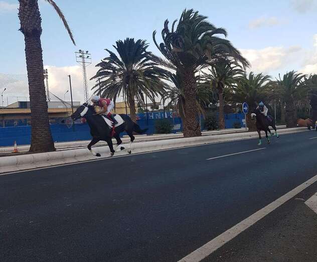 Imagen de una de las carreras (Foto TA)